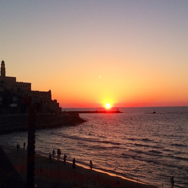 1375044_10151604917936571_923508921_n