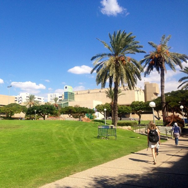 1382265_10151596236751571_768514333_n