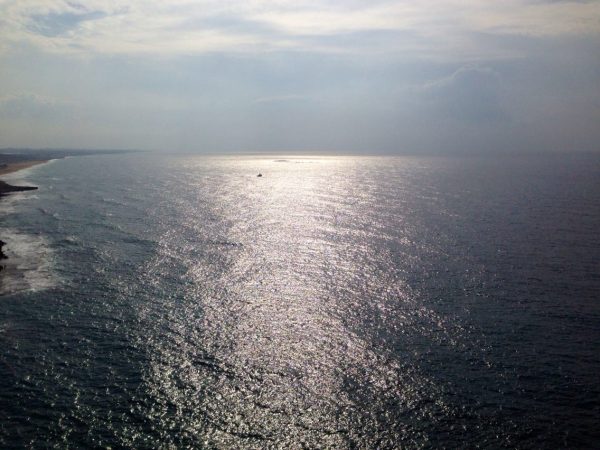 1397507_10151694211761571_1735991822_o