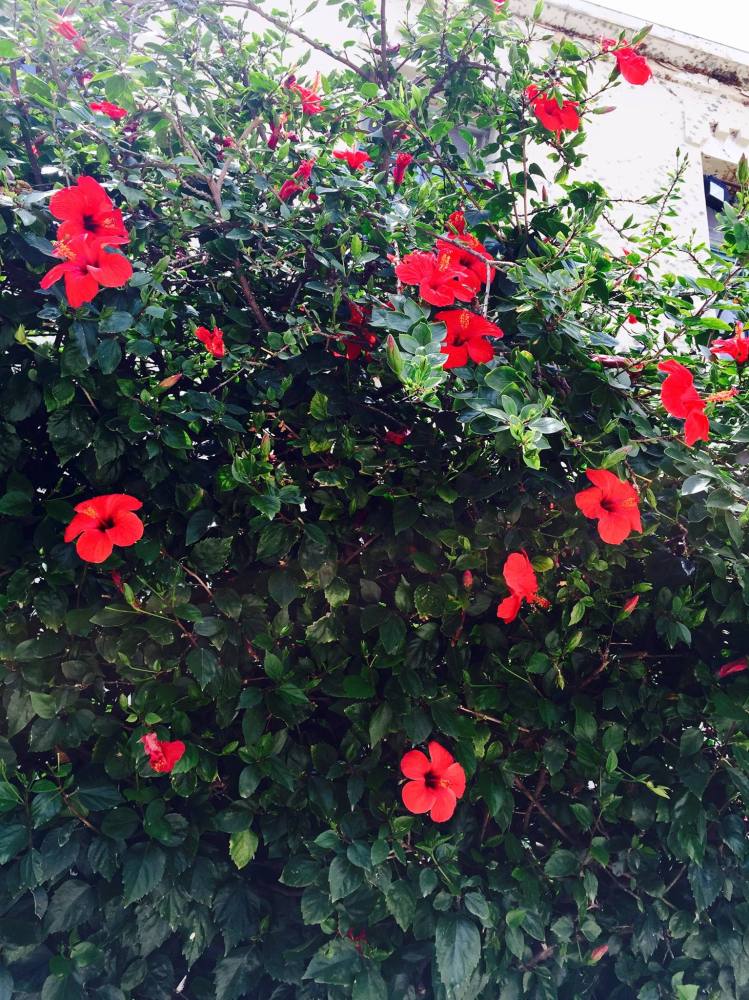 11022607_10152648187826571_4271812113005413332_o