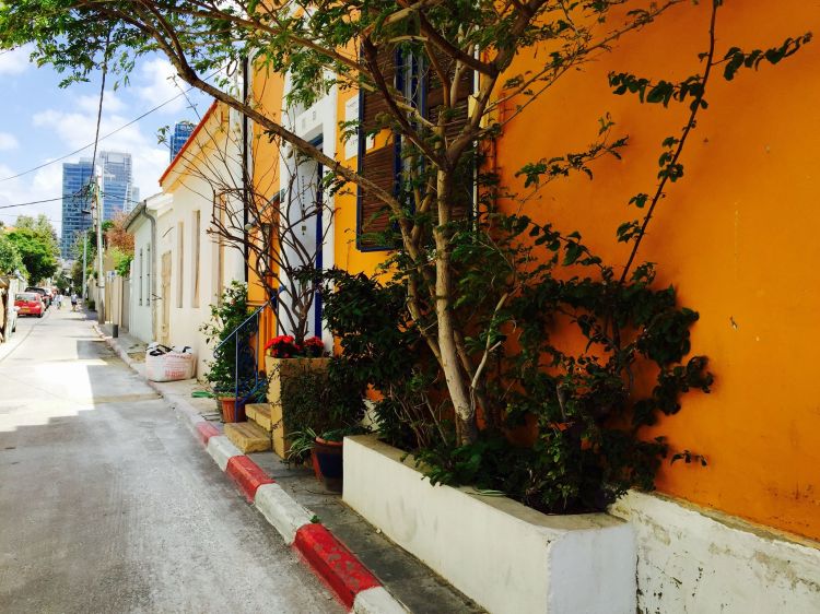 11143247_10152655631016571_5666360893065545078_o