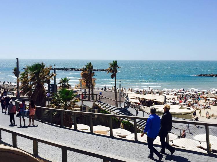 11168034_10152651560381571_3600324799697825793_o