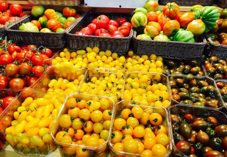 11751362_10152835364251571_534967240_n