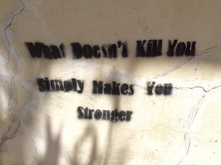 11753784_10152835362846571_435666211_n