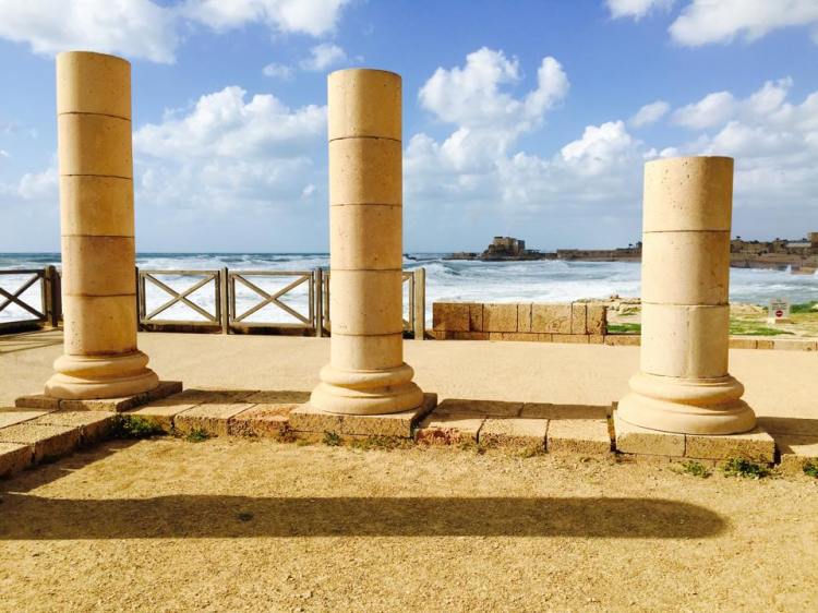 11778117_10152835399426571_1091392071_n