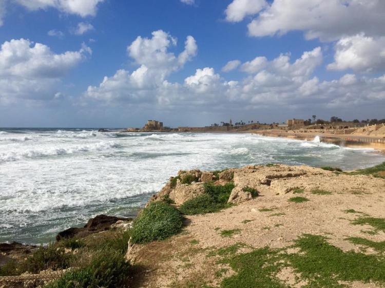 11787198_10152835399941571_342679781_n