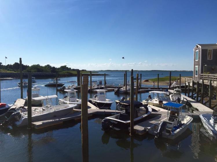 11798176_10152855556376571_2046247301_n