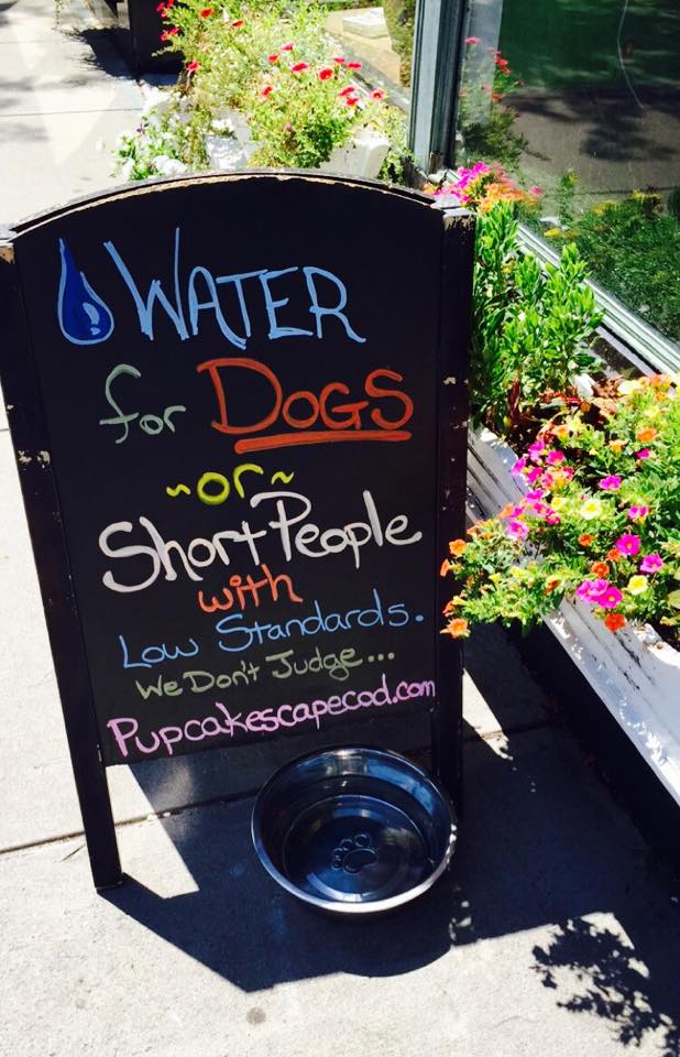 11846347_10152855559616571_1765945839_n