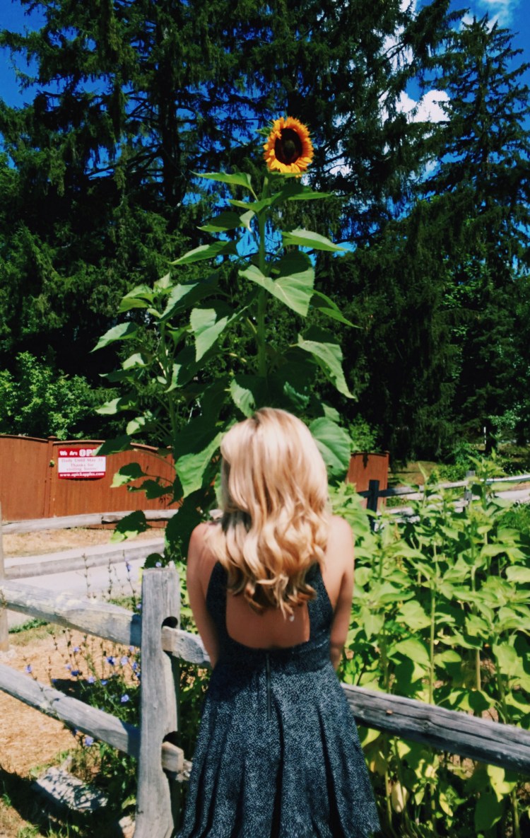 Processed with VSCOcam with c6 preset