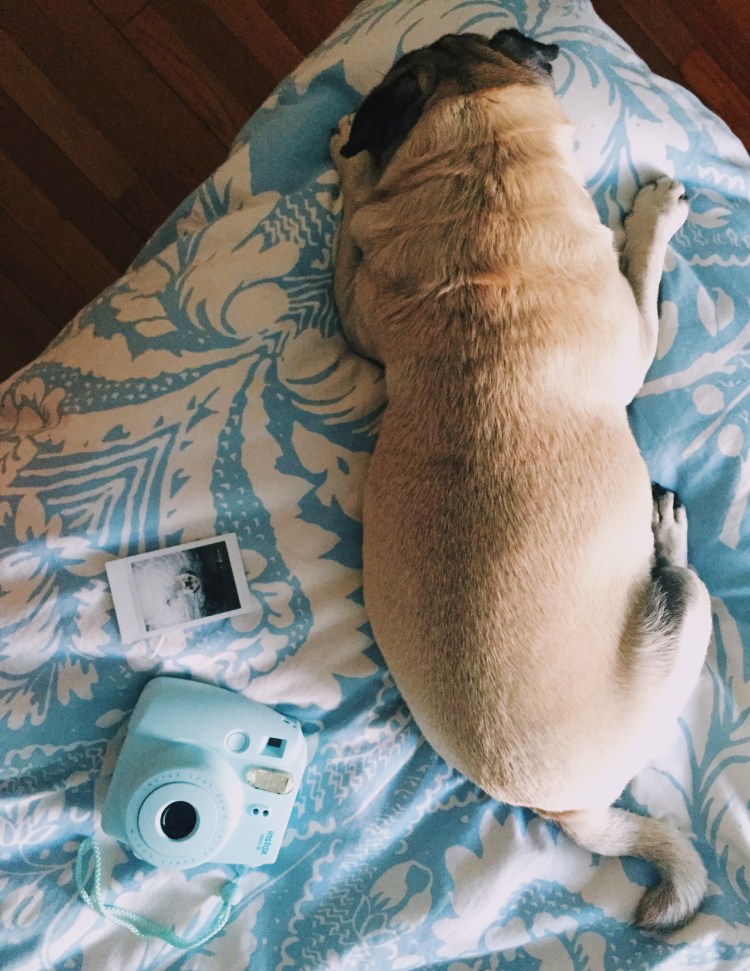 Processed with VSCOcam with c6 preset