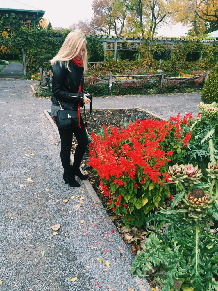 Processed with VSCOcam with c1 preset