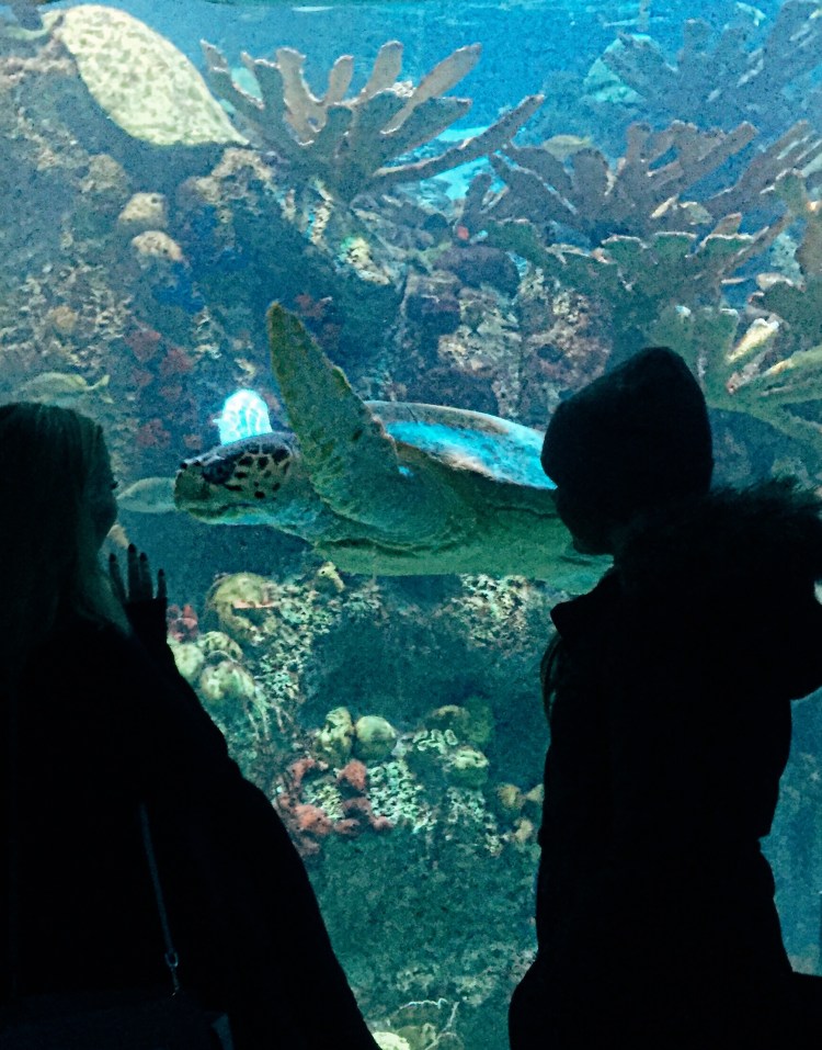 Processed with VSCOcam with e1 preset