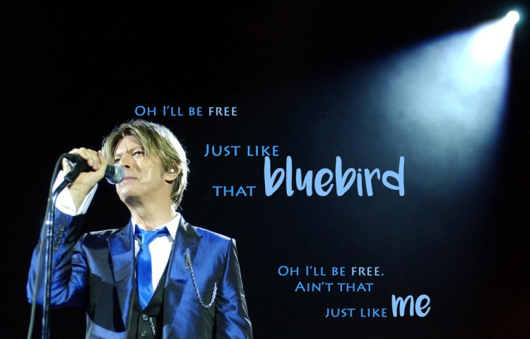 enhanced-buzz-wide-25510-1452526514-15