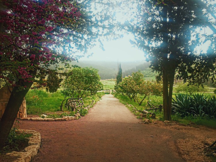 Processed with VSCOcam with c9 preset