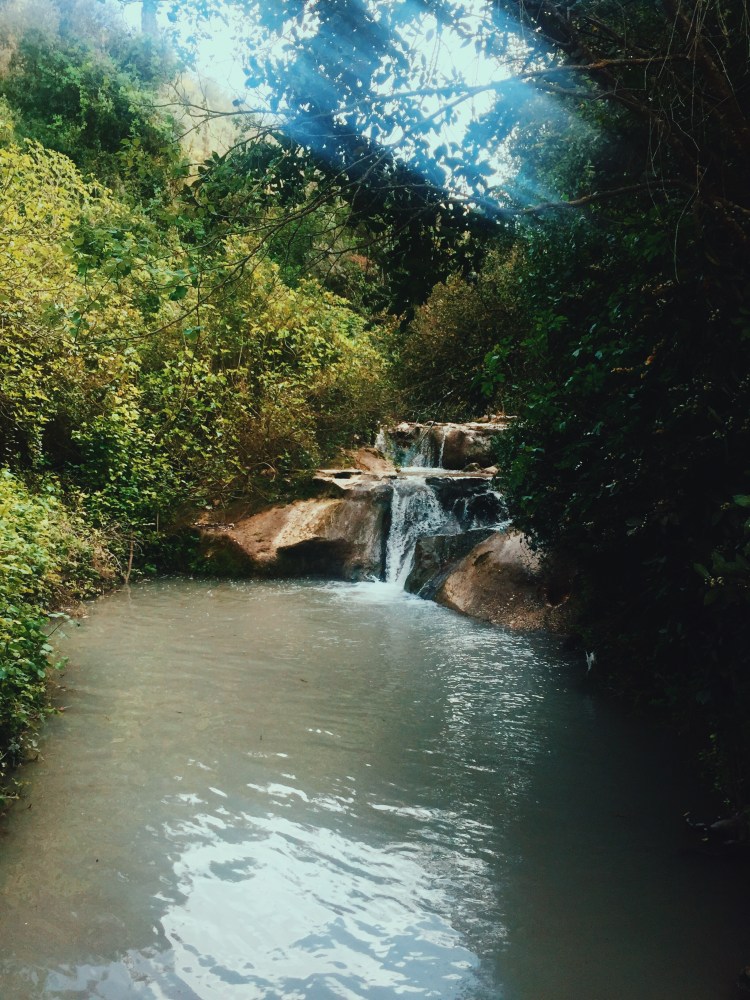 Processed with VSCOcam with c9 preset