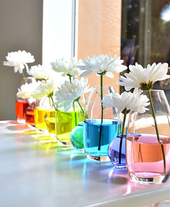 05e0901a6aec7c9bd5c9582a57c91341