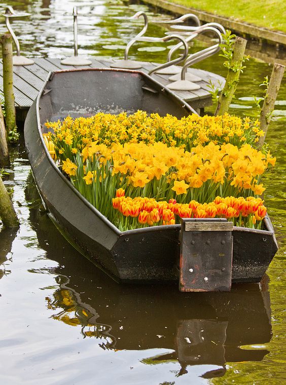 f3ca21d94d24ca2e6fcb82532924b10b