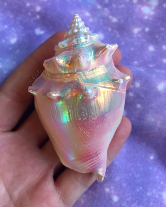 cec37709e6be75aff19ab0d3d285dd8b