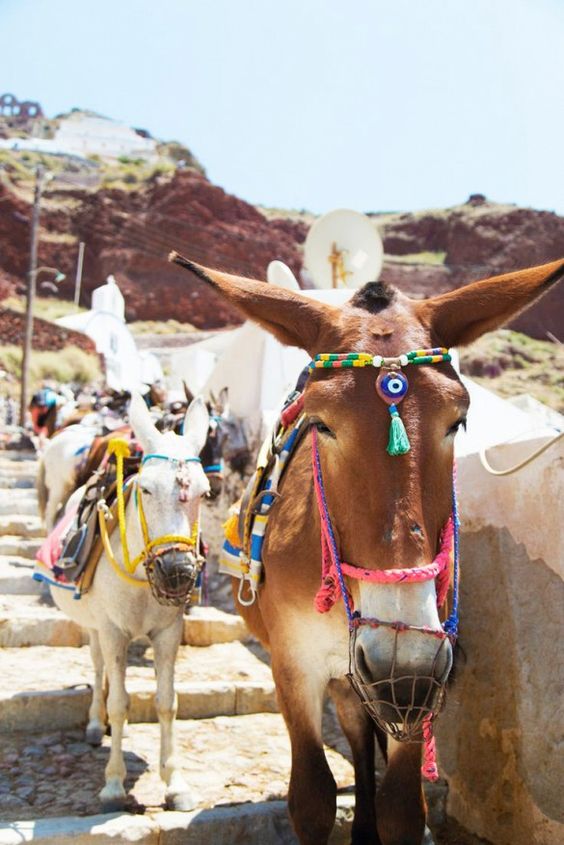 027373d45d52310f97ef6d6ba6e0d835