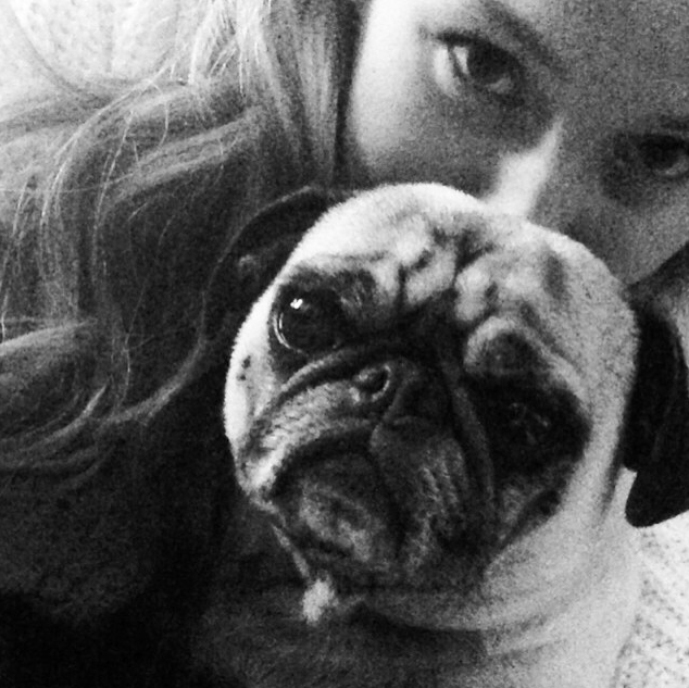 Screen Shot 2016-08-22 at 6.34.31 PM