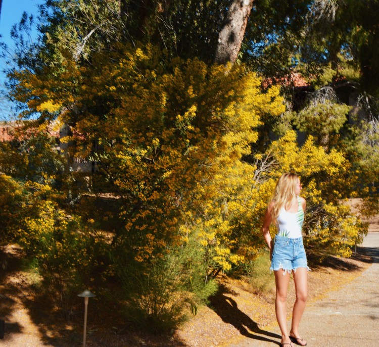 Processed with VSCO with c7 preset