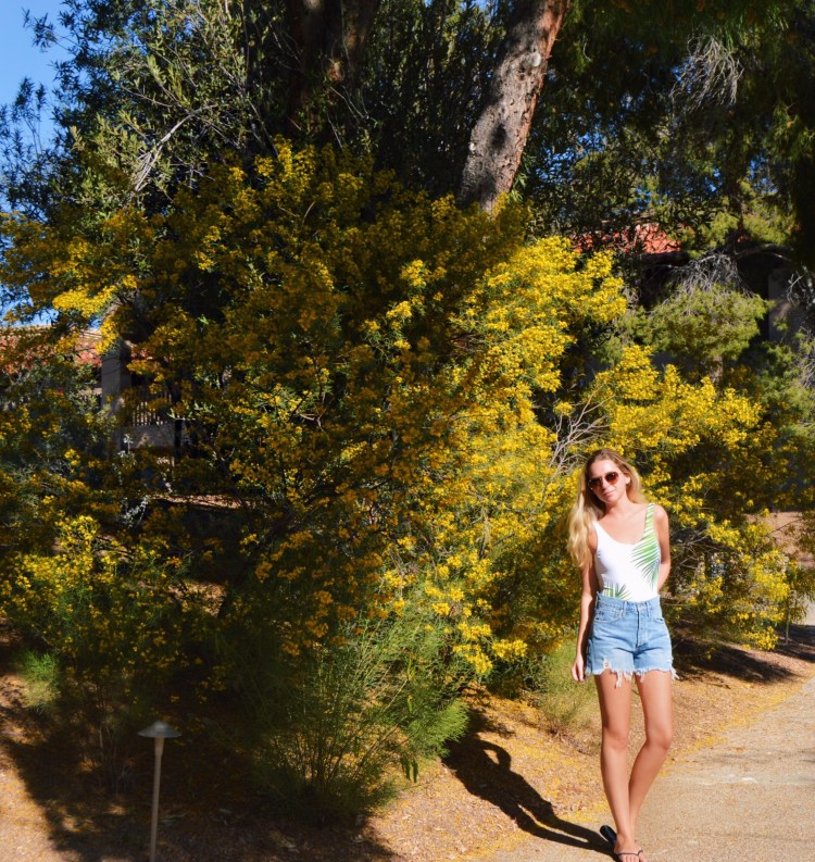 Processed with VSCO with c6 preset