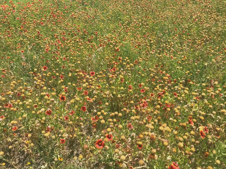 Processed with VSCO with c6 preset